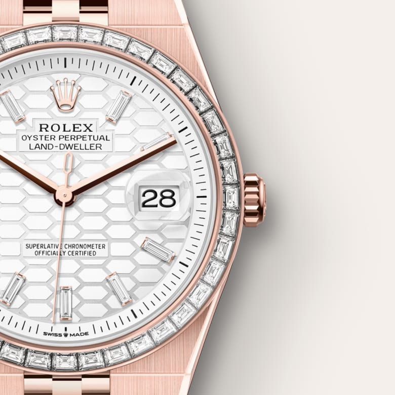 Rolex Land-Dweller 40 M127385TBR-0003