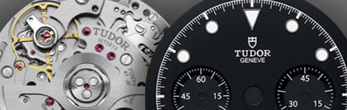 Cree su Tudor Cree su Tudor